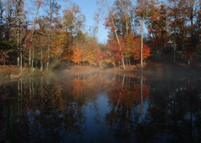 Brightly colored fall trees seen from across lake with fog on it