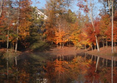 Gorgeous fall trees shielding large building across lake