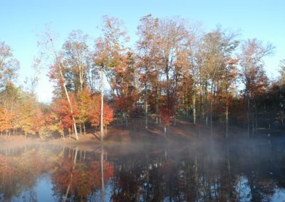 foggy lake during the fall