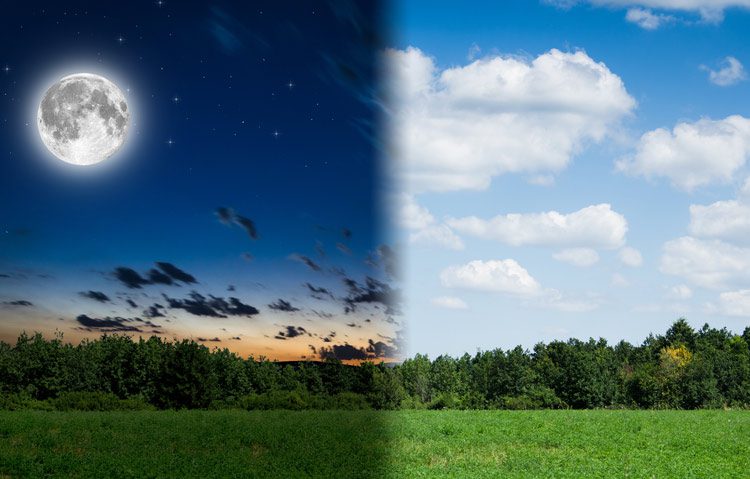 digital illustration depicting night and day using landscape