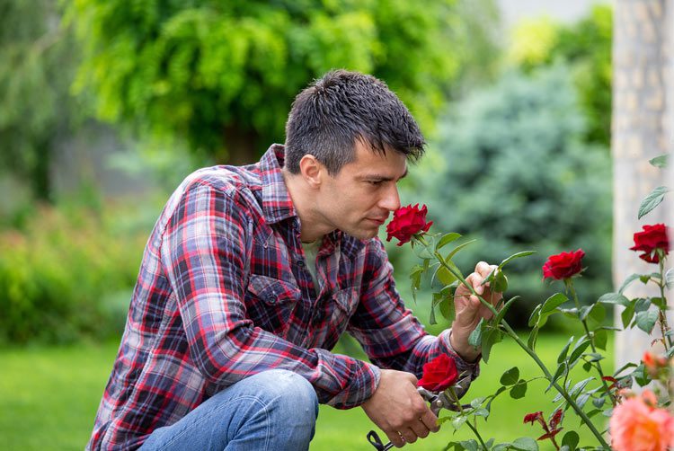 Gratitude and the Importance of Stopping to Smell the Roses in Recovery