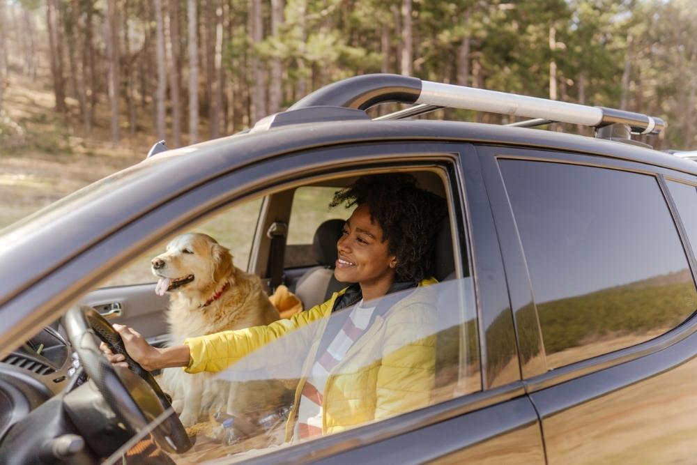 A woman smiles while driving a car with the window down. A golden retriever sits happily in the passenger seat. Trees and nature are visible outside the car.