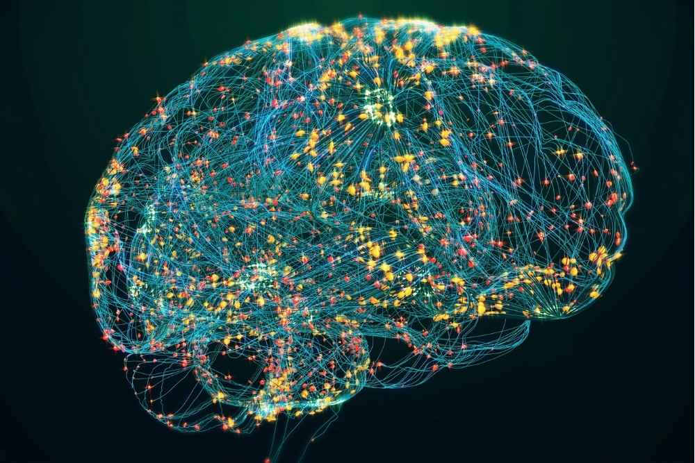 Changing Direction: A Neuroplasticity Roundup