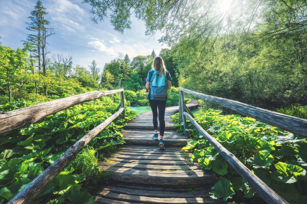 Wooded Glen - No Need to Wait When It Comes to Walking